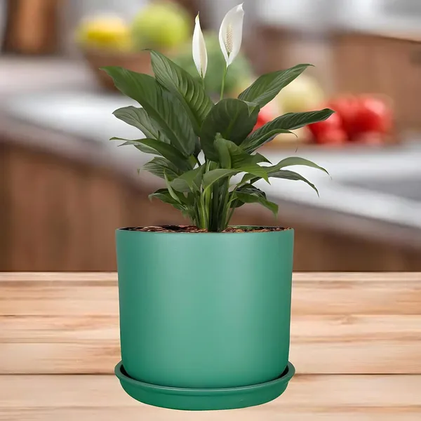 Orin_5D_Deep_Jungle_With_Plate_R4_Deep_Jungle_Ceramic_Pots_For_Indoor_Plants,Planters,Flower,Gamla,Outdoor,Balcony,Home,Garden(Pot-H-11.5_X_D-12.5_Cm,Plate-H-2Xd-13Cm)