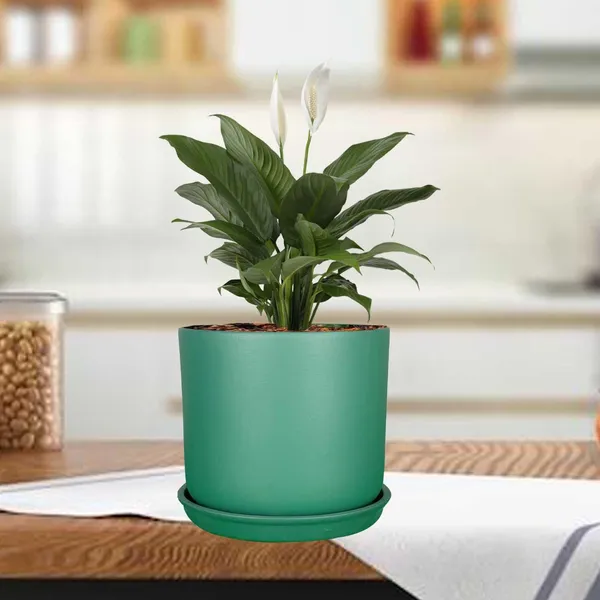 Orin_5D_Deep_Jungle_With_Plate_R4_Deep_Jungle_Ceramic_Pots_For_Indoor_Plants,Planters,Flower,Gamla,Outdoor,Balcony,Home,Garden(Pot-H-11.5_X_D-12.5_Cm,Plate-H-2Xd-13Cm)