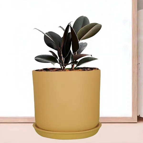 Orin_5D_Ginger_With_Plate_R4_Ginger_Ceramic_Pots_For_Indoor_Plants,Planters,Flower,Gamla,Outdoor,Balcony,Home,Garden,Decor(Pot-H-11.5_X_D-12.5_Cm,Plate-H-2Xd-13Cm)
