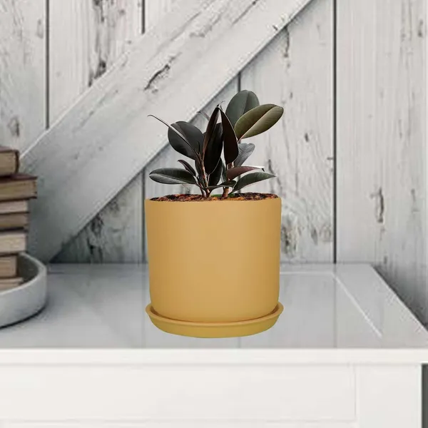 Orin_5D_Ginger_With_Plate_R4_Ginger_Ceramic_Pots_For_Indoor_Plants,Planters,Flower,Gamla,Outdoor,Balcony,Home,Garden,Decor(Pot-H-11.5_X_D-12.5_Cm,Plate-H-2Xd-13Cm)