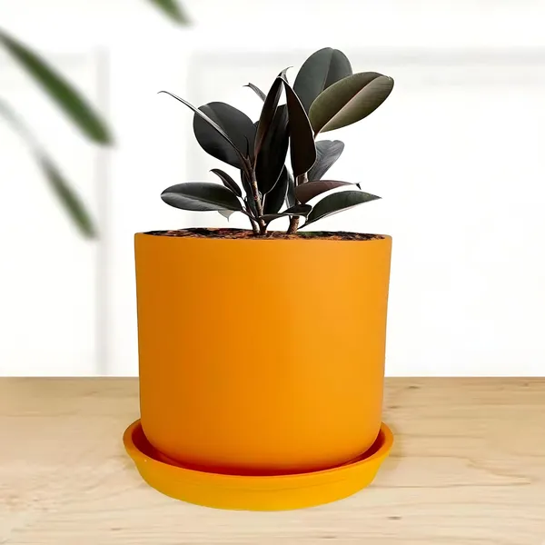 Orin_5D_Lily_With_Plate_R4_Lily_Ceramic_Pots_For_Indoor_Plants,Planters,Flower,Gamla,Outdoor,Balcony,Home,Garden,Decor(Pot-H-11.5_X_D-12.5_Cm,Plate-H-2Xd-13Cm)