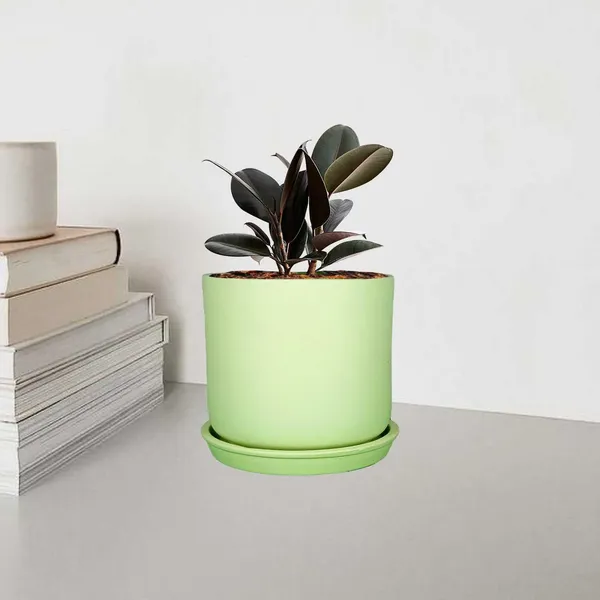 Orin_5D_Mint_With_Plate_R4_Mint_Ceramic_Pots_For_Indoor_Plants,Planters,Flower,Gamla,Outdoor,Balcony,Home,Garden,Decor(Pot-H-11.5_X_D-12.5_Cm,Plate-H-2Xd-13Cm)
