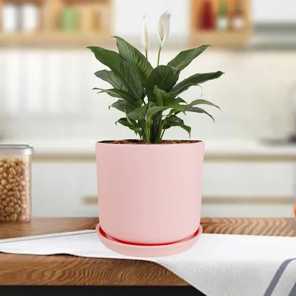 Orin_5D_Pink_With_Plate_R4_Pink_Ceramic_Pots_For_Indoor_Plants,Planters,Flower,Gamla,Outdoor,Balcony,Home,Garden,Decor(Pot-H-11.5_X_D-12.5_Cm,Plate-H-2Xd-13Cm)
