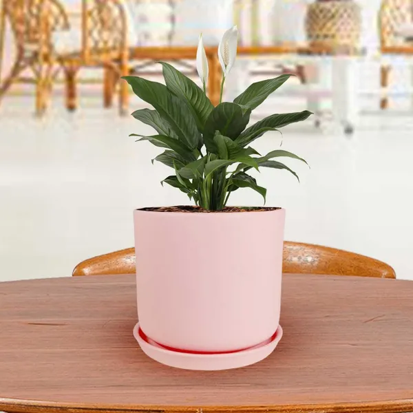 Orin_5D_Pink_With_Plate_R4_Pink_Ceramic_Pots_For_Indoor_Plants,Planters,Flower,Gamla,Outdoor,Balcony,Home,Garden,Decor(Pot-H-11.5_X_D-12.5_Cm,Plate-H-2Xd-13Cm)