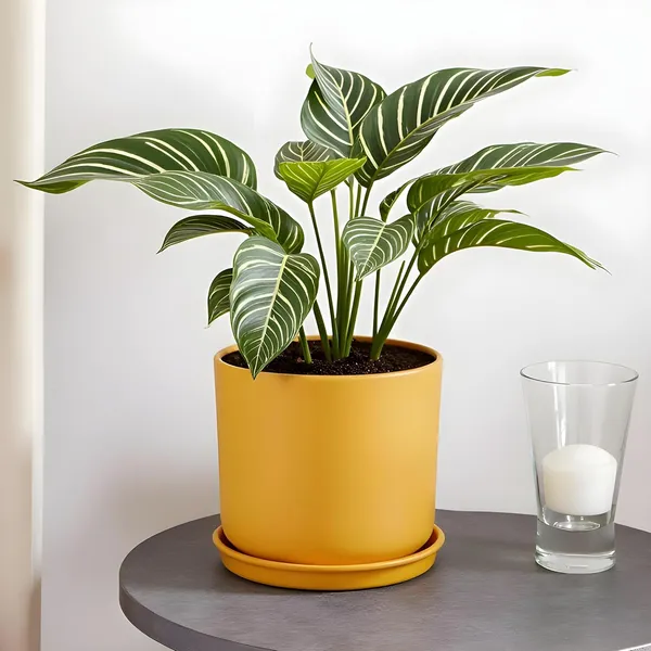 Orin_5D_Saffron_With_Plate_R4_Saffron_Ceramic_Pots_For_Indoor_Plants,Planters,Flower,Gamla,Outdoor,Balcony,Home,Garden,Decor(Pot-H-11.5_X_D-12.5_Cm,Plate-H-2Xd-13Cm)
