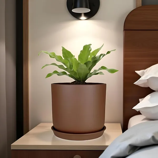 Orin_5D_Truffle_With_Plate_R4_Truffle_Ceramic_Pots_For_Indoor_Plants,Planters,Flower,Gamla,Outdoor,Balcony,Home,Garden,Decor(Pot-H-11.5_X_D-12.5_Cm,Plate-H-2Xd-13Cm)