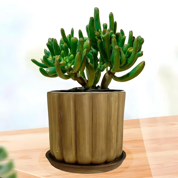 Flona_Antique_With_Plate_R4_Antique_Ceramic_Pots_For_Indoor_Plants,Planters,Flower,Gamla,Outdoor,Balcony,Home,Garden,Decor(Pot-H-11.5_X_D-12_Cm,Plate-H-2Xd-13Cm)