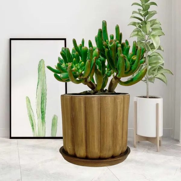 Flona_Antique_With_Plate_R4_Antique_Ceramic_Pots_For_Indoor_Plants,Planters,Flower,Gamla,Outdoor,Balcony,Home,Garden,Decor(Pot-H-11.5_X_D-12_Cm,Plate-H-2Xd-13Cm)