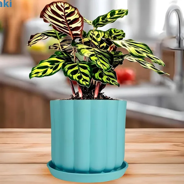 Flona_Aqua_With_Plate_R4_Aqua_Ceramic_Pots_For_Indoor_Plants,Planters,Flower,Gamla,Outdoor,Balcony,Home,Garden,Decor(Pot-H-11.5_X_D-12_Cm,Plate-H-2Xd-13Cm)