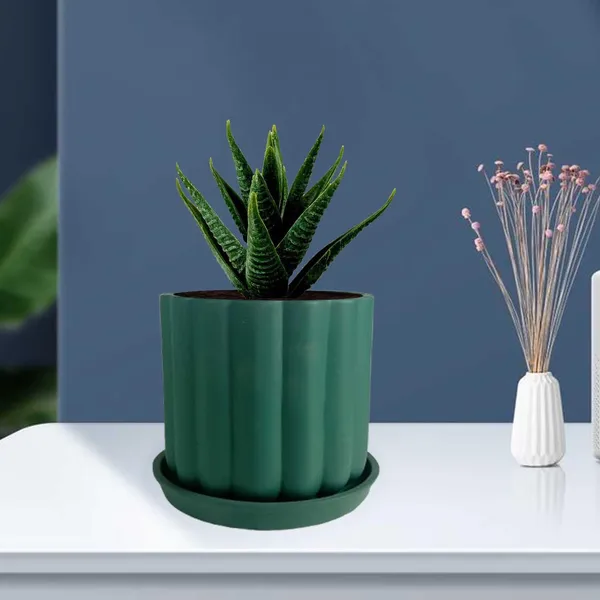 Flona_Deep_Jungle_With_Plate_R4_Deep_Jungle_Ceramic_Pots_For_Indoor_Plants,Planters,Flower,Gamla,Outdoor,Balcony,Home,Garden,Decor(Pot-H-11.5_X_D-12_Cm,Plate-H-2Xd-13Cm)