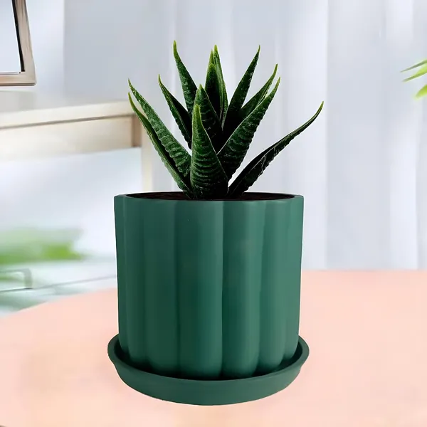 Flona_Deep_Jungle_With_Plate_R4_Deep_Jungle_Ceramic_Pots_For_Indoor_Plants,Planters,Flower,Gamla,Outdoor,Balcony,Home,Garden,Decor(Pot-H-11.5_X_D-12_Cm,Plate-H-2Xd-13Cm)