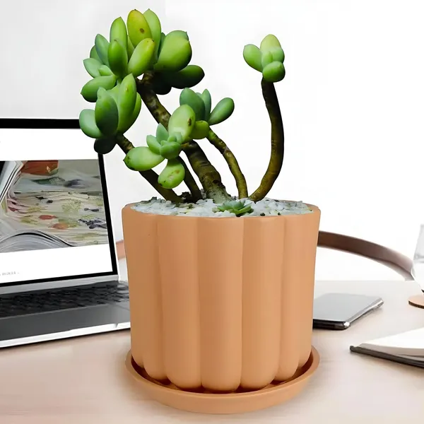 Flona_Ginger_With_Plate_R4_Ginger_Ceramic_Pots_For_Indoor_Plants,Planters,Flower,Gamla,Outdoor,Balcony,Home,Garden,Decor(Pot-H-11.5_X_D-12_Cm,Plate-H-2Xd-13Cm)