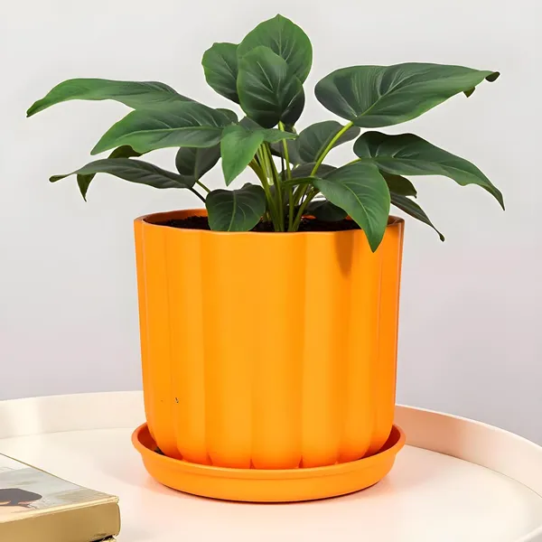 Flona_Lily_With_Plate_R4_Lily_Ceramic_Pots_For_Indoor_Plants,Planters,Flower,Gamla,Outdoor,Balcony,Home,Garden,Decor(Pot-H-11.5_X_D-12_Cm,Plate-H-2Xd-13Cm)