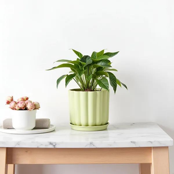 Flona_Mint_With_Plate_R4_Mint_Ceramic_Pots_For_Indoor_Plants,Planters,Flower,Gamla,Outdoor,Balcony,Home,Garden,Decor(Pot-H-11.5_X_D-12_Cm,Plate-H-2Xd-13Cm)