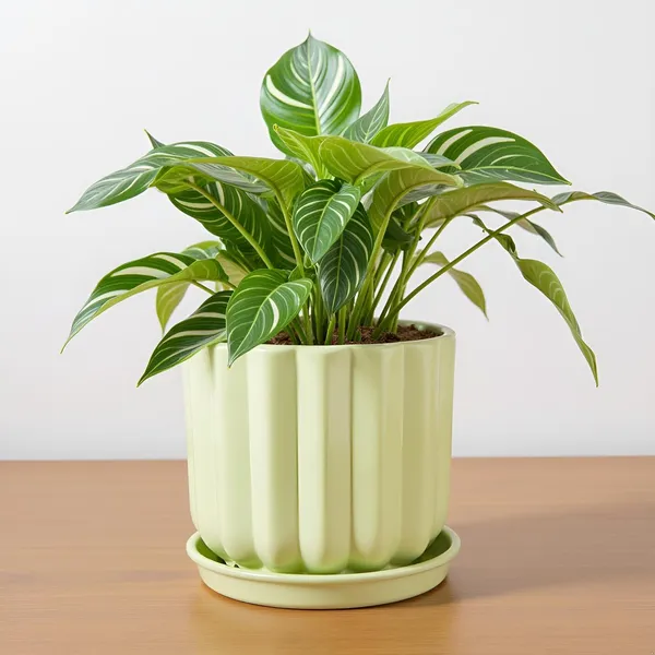 Flona_Mint_With_Plate_R4_Mint_Ceramic_Pots_For_Indoor_Plants,Planters,Flower,Gamla,Outdoor,Balcony,Home,Garden,Decor(Pot-H-11.5_X_D-12_Cm,Plate-H-2Xd-13Cm)