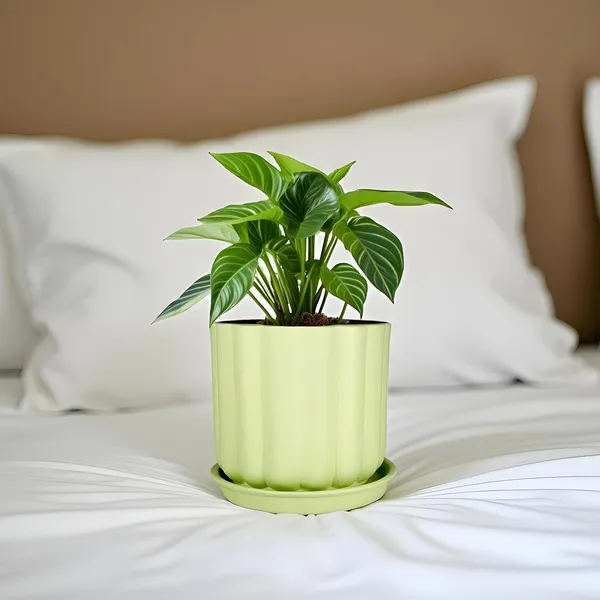 Flona_Mint_With_Plate_R4_Mint_Ceramic_Pots_For_Indoor_Plants,Planters,Flower,Gamla,Outdoor,Balcony,Home,Garden,Decor(Pot-H-11.5_X_D-12_Cm,Plate-H-2Xd-13Cm)