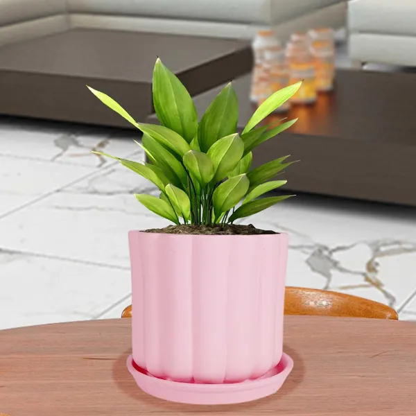 Flona_Pink_With_Plate_R4_Pink_Ceramic_Pots_For_Indoor_Plants,Planters,Flower,Gamla,Outdoor,Balcony,Home,Garden,Decor(Pot-H-11.5_X_D-12_Cm,Plate-H-2Xd-13Cm)