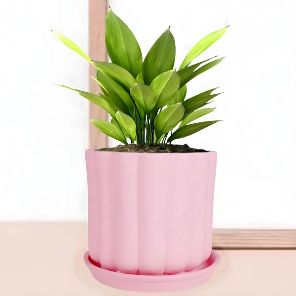 Flona_Pink_With_Plate_R4_Pink_Ceramic_Pots_For_Indoor_Plants,Planters,Flower,Gamla,Outdoor,Balcony,Home,Garden,Decor(Pot-H-11.5_X_D-12_Cm,Plate-H-2Xd-13Cm)