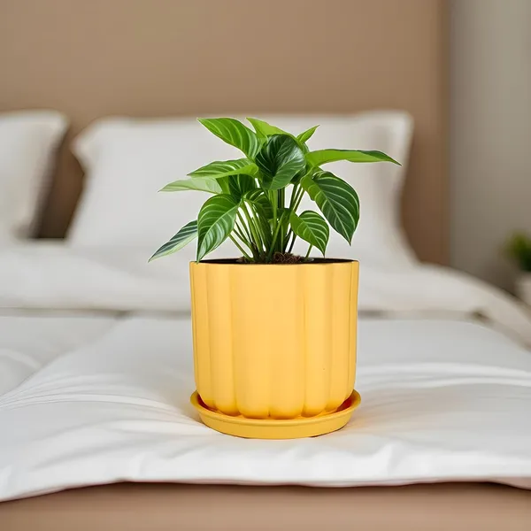 Flona_Saffron_With_Plate_R4_Saffron_Ceramic_Pots_For_Indoor_Plants,Planters,Flower,Gamla,Outdoor,Balcony,Home,Garden,Decor(Pot-H-11.5_X_D-12_Cm,Plate-H-2Xd-13Cm)