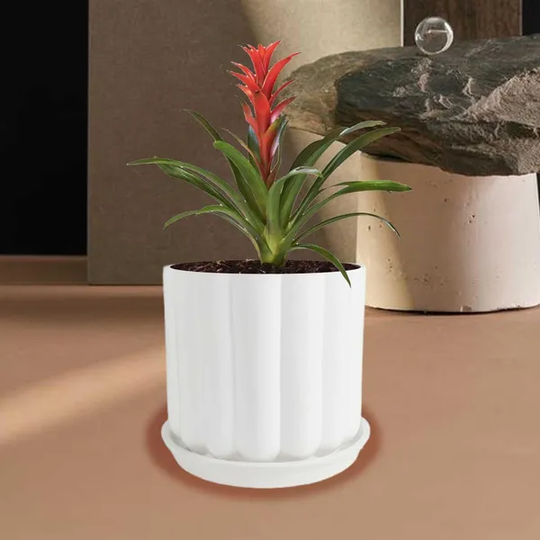 Flona_White_With_Plate_R4_White_Ceramic_Pots_For_Indoor_Plants,Planters,Flower,Gamla,Outdoor,Balcony,Home,Garden,Decor(Pot-H-11.5_X_D-12_Cm,Plate-H-2Xd-13Cm)