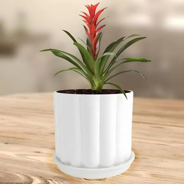 Flona_White_With_Plate_R4_White_Ceramic_Pots_For_Indoor_Plants,Planters,Flower,Gamla,Outdoor,Balcony,Home,Garden,Decor(Pot-H-11.5_X_D-12_Cm,Plate-H-2Xd-13Cm)
