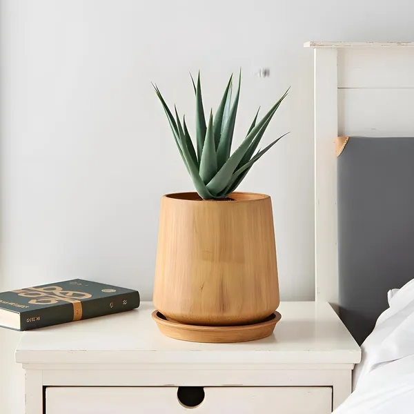 Clara_Antique_With_Plate_R4_Antique_Ceramic_Pots_For_Indoor_Plants,Planters,Flower,Gamla,Outdoor,Balcony,Home,Garden,Decor(Pot-H-12.5_X_D-13_Cm,Plate-H-2Xd-13Cm)