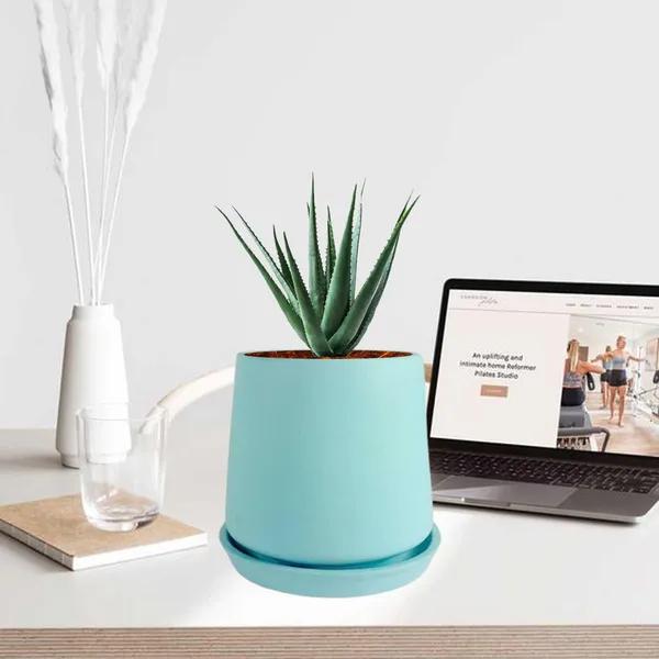 Clara_Aqua_With_Plate_R4_Aqua_Ceramic_Pots_For_Indoor_Plants,Planters,Flower,Gamla,Outdoor,Balcony,Home,Garden,Decor(Pot-H-12.5_X_D-13_Cm,Plate-H-2Xd-13Cm)