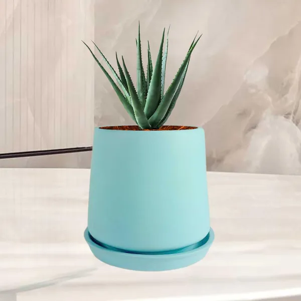 Clara_Aqua_With_Plate_R4_Aqua_Ceramic_Pots_For_Indoor_Plants,Planters,Flower,Gamla,Outdoor,Balcony,Home,Garden,Decor(Pot-H-12.5_X_D-13_Cm,Plate-H-2Xd-13Cm)
