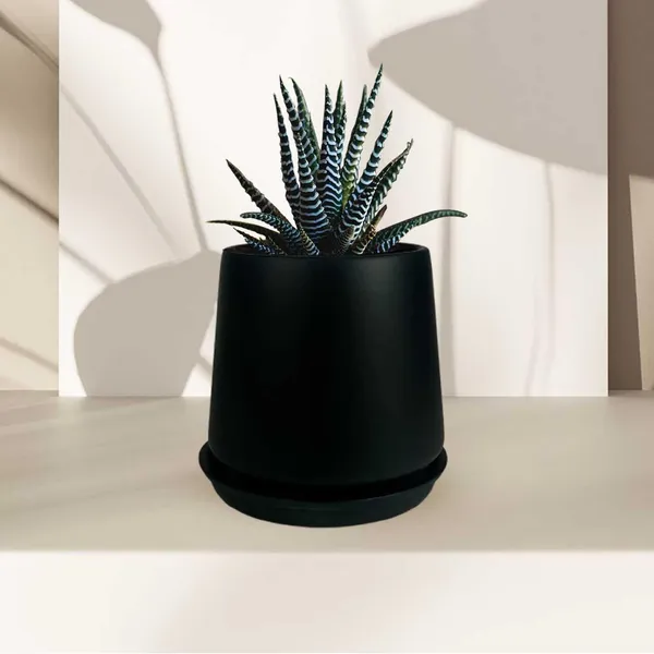Clara_Black_With_Plate_R4_Black_Ceramic_Pots_For_Indoor_Plants,Planters,Flower,Gamla,Outdoor,Balcony,Home,Garden,Decor(Pot-H-12.5_X_D-13_Cm,Plate-H-2Xd-13Cm)