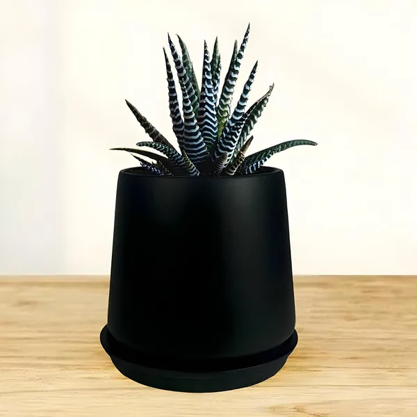 Clara_Black_With_Plate_R4_Black_Ceramic_Pots_For_Indoor_Plants,Planters,Flower,Gamla,Outdoor,Balcony,Home,Garden,Decor(Pot-H-12.5_X_D-13_Cm,Plate-H-2Xd-13Cm)