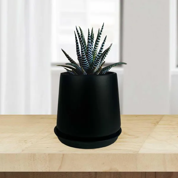 Clara_Black_With_Plate_R4_Black_Ceramic_Pots_For_Indoor_Plants,Planters,Flower,Gamla,Outdoor,Balcony,Home,Garden,Decor(Pot-H-12.5_X_D-13_Cm,Plate-H-2Xd-13Cm)