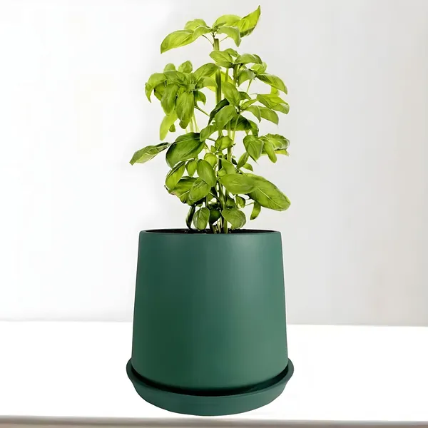 Clara_Deep_Jungle_With_Plate_R4_Deep_Jungle_Ceramic_Pots_For_Indoor_Plants,Planters,Flower,Gamla,Outdoor,Balcony,Home,Garden,Decor(Pot-H-12.5_X_D-13_Cm,Plate-H-2Xd-13Cm)