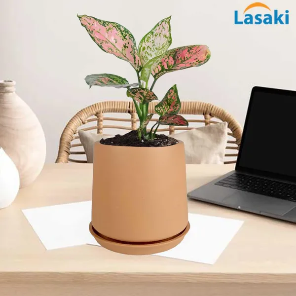 Clara_Ginger_With_Plate_R4_Ginger_Ceramic_Pots_For_Indoor_Plants,Planters,Flower,Gamla,Outdoor,Balcony,Home,Garden,Decor(Pot-H-12.5_X_D-13_Cm,Plate-H-2Xd-13Cm)