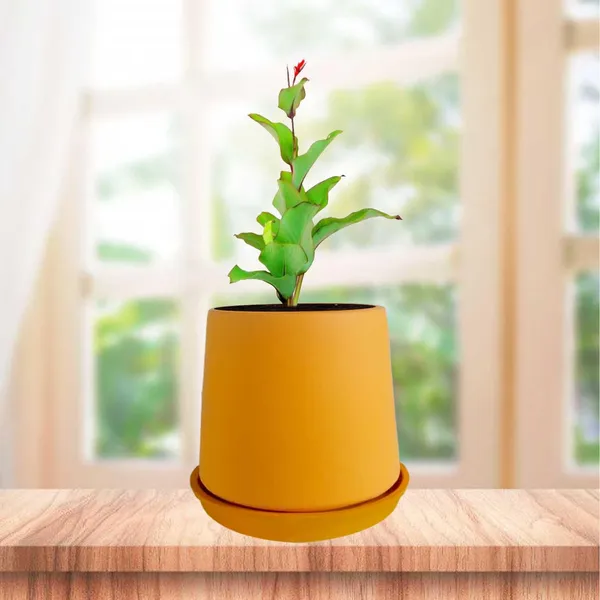 Clara_Lily_With_Plate_R4_Lily_Ceramic_Pots_For_Indoor_Plants,Planters,Flower,Gamla,Outdoor,Balcony,Home,Garden,Decor(Pot-H-12.5_X_D-13_Cm,Plate-H-2Xd-13Cm)