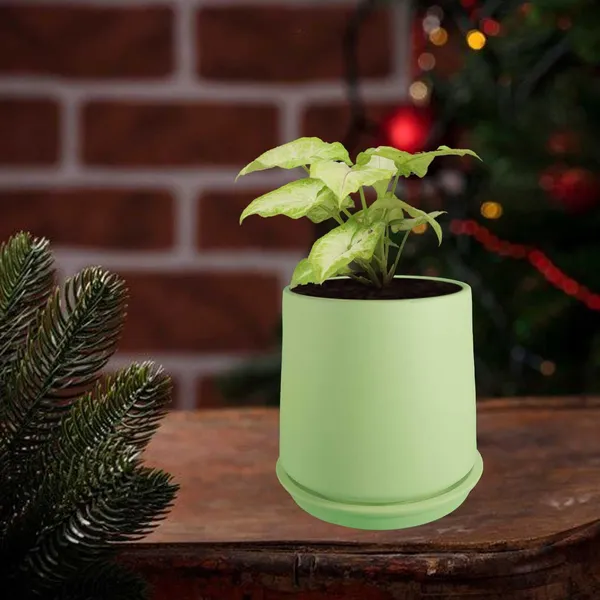 Clara_Mint_With_Plate_R4_Mint_Ceramic_Pots_For_Indoor_Plants,Planters,Flower,Gamla,Outdoor,Balcony,Home,Garden,Decor(Pot-H-12.5_X_D-13_Cm,Plate-H-2Xd-13Cm)