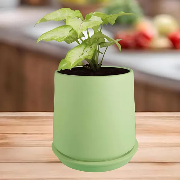 Clara_Mint_With_Plate_R4_Mint_Ceramic_Pots_For_Indoor_Plants,Planters,Flower,Gamla,Outdoor,Balcony,Home,Garden,Decor(Pot-H-12.5_X_D-13_Cm,Plate-H-2Xd-13Cm)