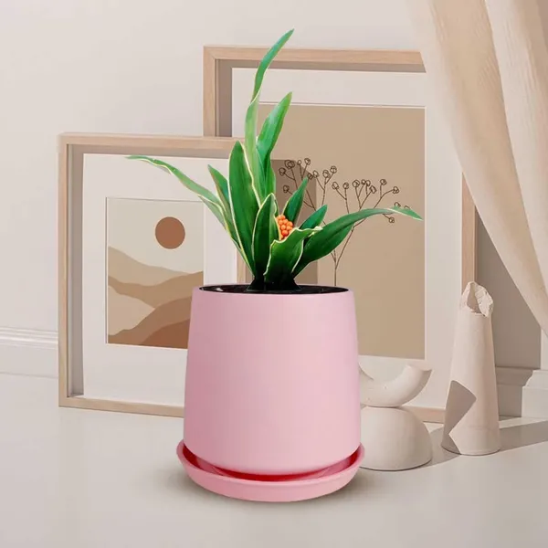 Clara_Pink_With_Plate_R4_Pink_Ceramic_Pots_For_Indoor_Plants,Planters,Flower,Gamla,Outdoor,Balcony,Home,Garden,Decor(Pot-H-12.5_X_D-13_Cm,Plate-H-2Xd-13Cm)