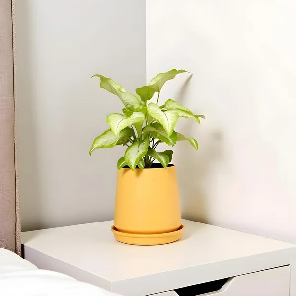 Clara_Saffron_With_Plate_R4_Saffron_Ceramic_Pots_For_Indoor_Plants,Planters,Flower,Gamla,Outdoor,Balcony,Home,Garden,Decor(Pot-H-12.5_X_D-13_Cm,Plate-H-2Xd-13Cm)
