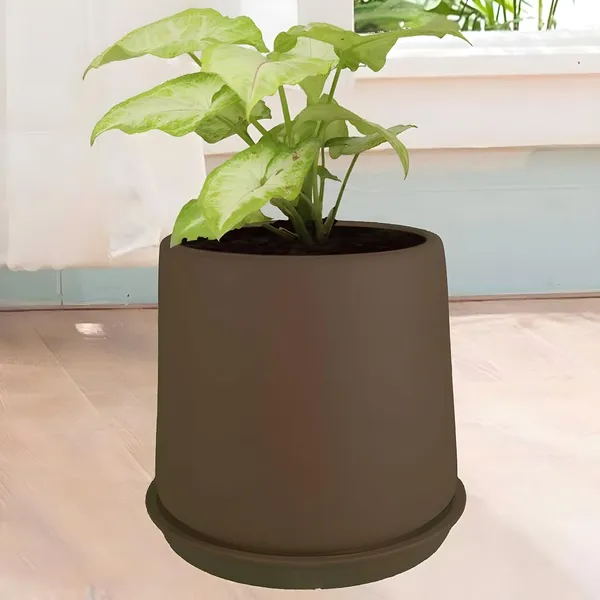 Clara_Truffle_With_Plate_R4_Truffle_Ceramic_Pots_For_Indoor_Plants,Planters,Flower,Gamla,Outdoor,Balcony,Home,Garden,Decor(Pot-H-12.5_X_D-13_Cm,Plate-H-2Xd-13Cm)
