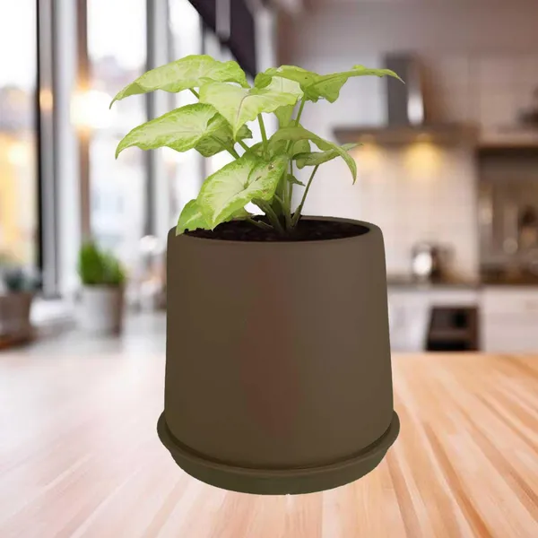 Clara_Truffle_With_Plate_R4_Truffle_Ceramic_Pots_For_Indoor_Plants,Planters,Flower,Gamla,Outdoor,Balcony,Home,Garden,Decor(Pot-H-12.5_X_D-13_Cm,Plate-H-2Xd-13Cm)