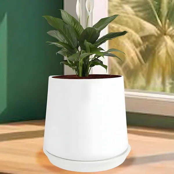 Clara_White_With_Plate_R4_White_Ceramic_Pots_For_Indoor_Plants,Planters,Flower,Gamla,Outdoor,Balcony,Home,Garden,Decor(Pot-H-12.5_X_D-13_Cm,Plate-H-2Xd-13Cm)