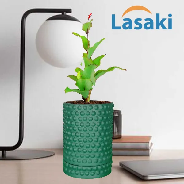 Bubble_Big_Deep_Jungle_With_Tray_Bubble_Big_Deep_Jungle_Ceramic_Pots_For_Indoor_Plants,Planters,Flower,Gamla,Outdoor,Balcony,Home(Pot-H-15_X_D-13_Cm,Plate-H-3Xd-13Cm)