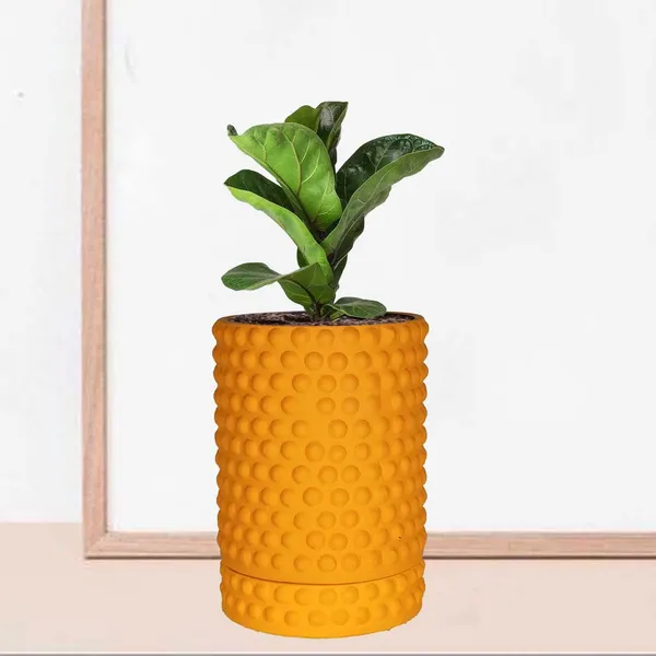 Bubble_Big_Lily_With_Tray_Bubble_Big_Lily_Ceramic_Pots_For_Indoor_Plants,Planters,Flower,Gamla,Outdoor,Balcony,Home,Garden,Decor(Pot-H-15_X_D-13_Cm,Plate-H-3Xd-13Cm)