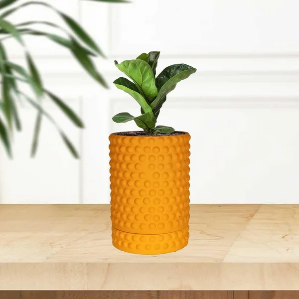 Bubble_Big_Lily_With_Tray_Bubble_Big_Lily_Ceramic_Pots_For_Indoor_Plants,Planters,Flower,Gamla,Outdoor,Balcony,Home,Garden,Decor(Pot-H-15_X_D-13_Cm,Plate-H-3Xd-13Cm)