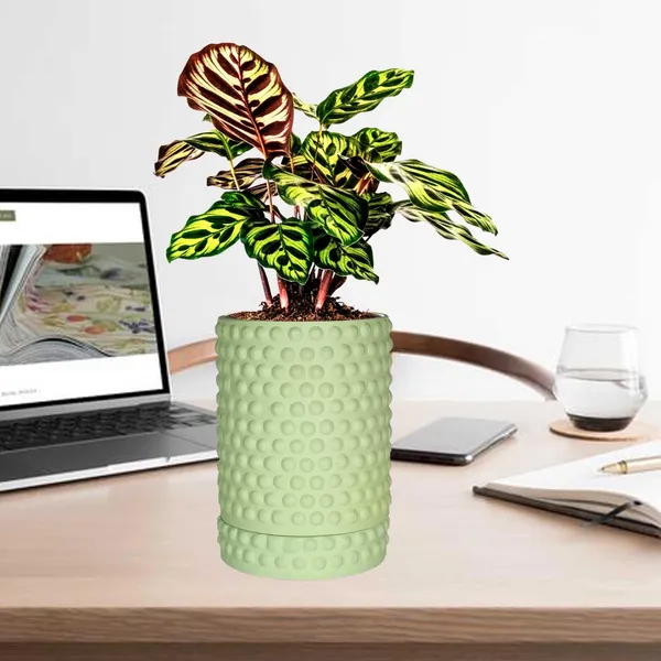 Bubble_Big_Mint_With_Tray_Bubble_Big_Mint_Ceramic_Pots_For_Indoor_Plants,Planters,Flower,Gamla,Outdoor,Balcony,Home,Garden,Decor(Pot-H-15_X_D-13_Cm,Plate-H-3Xd-13Cm)
