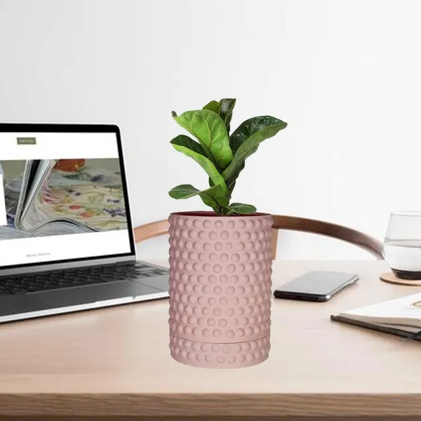 Bubble_Big_Pink_With_Tray_Bubble_Big_Pink_Ceramic_Pots_For_Indoor_Plants,Planters,Flower,Gamla,Outdoor,Balcony,Home,Garden,Decor(Pot-H-15_X_D-13_Cm,Plate-H-3Xd-13Cm)