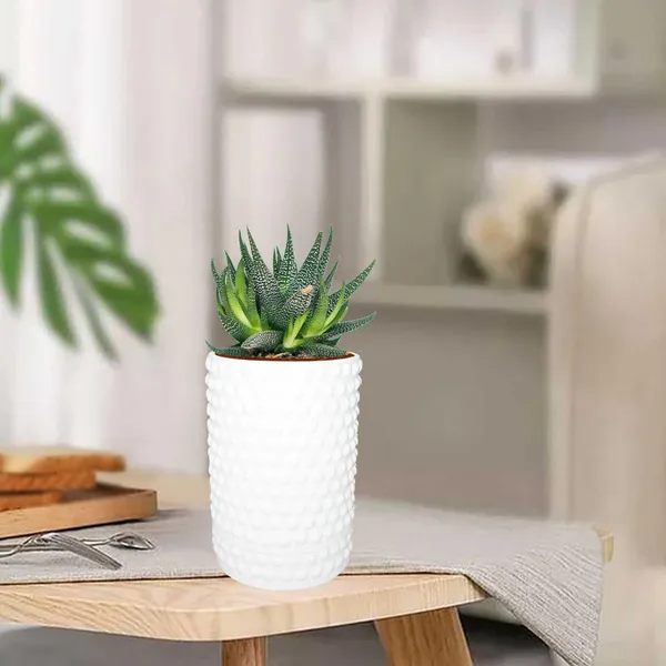 Bubble_Big_White_With_Tray_Bubble_Big_White_Ceramic_Pots_For_Indoor_Plants,Planters,Flower,Gamla,Outdoor,Balcony,Home,Garden,Decor(Pot-H-15_X_D-13_Cm,Plate-H-3Xd-13Cm)