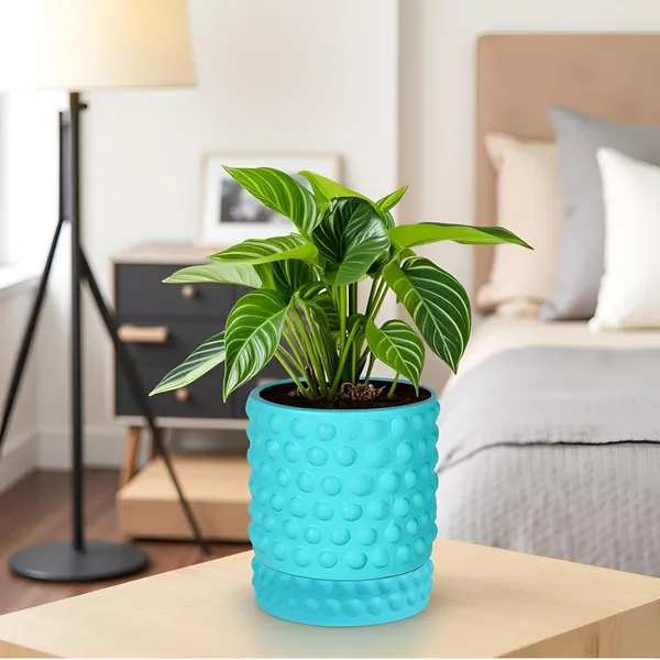 Bubble_Small_Aqua_With_Tray_Bubble_Small_Aqua_Ceramic_Pots_For_Indoor_Plants,Planters,Flower,Gamla,Outdoor,Balcony(Pot-H-10.5_X_D-10.5_Cm,Plate-H-3Xd-10.5Cm)