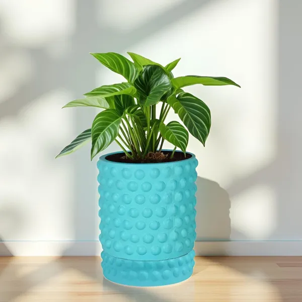 Bubble_Small_Aqua_With_Tray_Bubble_Small_Aqua_Ceramic_Pots_For_Indoor_Plants,Planters,Flower,Gamla,Outdoor,Balcony(Pot-H-10.5_X_D-10.5_Cm,Plate-H-3Xd-10.5Cm)