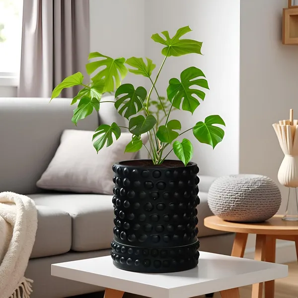 Bubble_Small_Black_With_Tray_Bubble_Small_Black_Ceramic_Pots_For_Indoor_Plants,Planters,Flower,Gamla,Outdoor,Balcony(Pot-H-10.5_X_D-10.5_Cm,Plate-H-3Xd-10.5Cm)